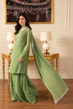 Lulusar Sage Green Crystal Work 3 Piece Outfit: 5 Stunning Details - Image 3